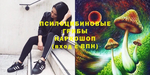 прущий лед Абаза