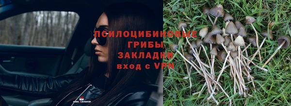 прущий лед Абаза