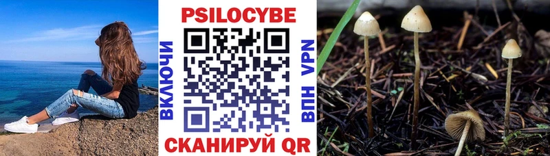 blacksprut ссылки  Ирбит  Псилоцибиновые грибы мицелий  даркнет сайт 